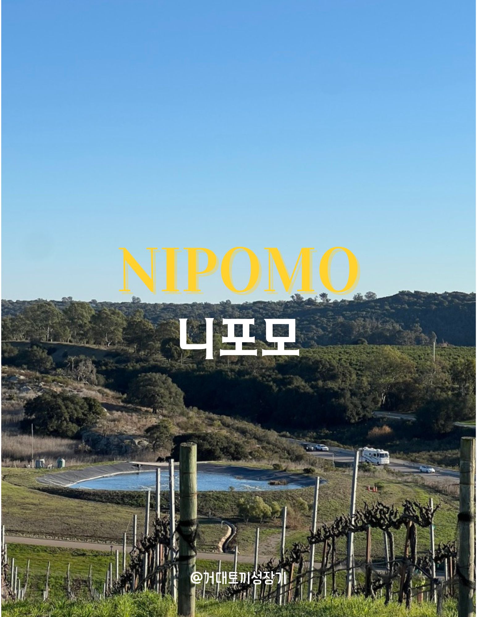 니포모 포스터