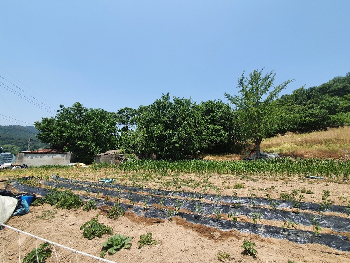 논산지원2022타경766 감정서 표지사진