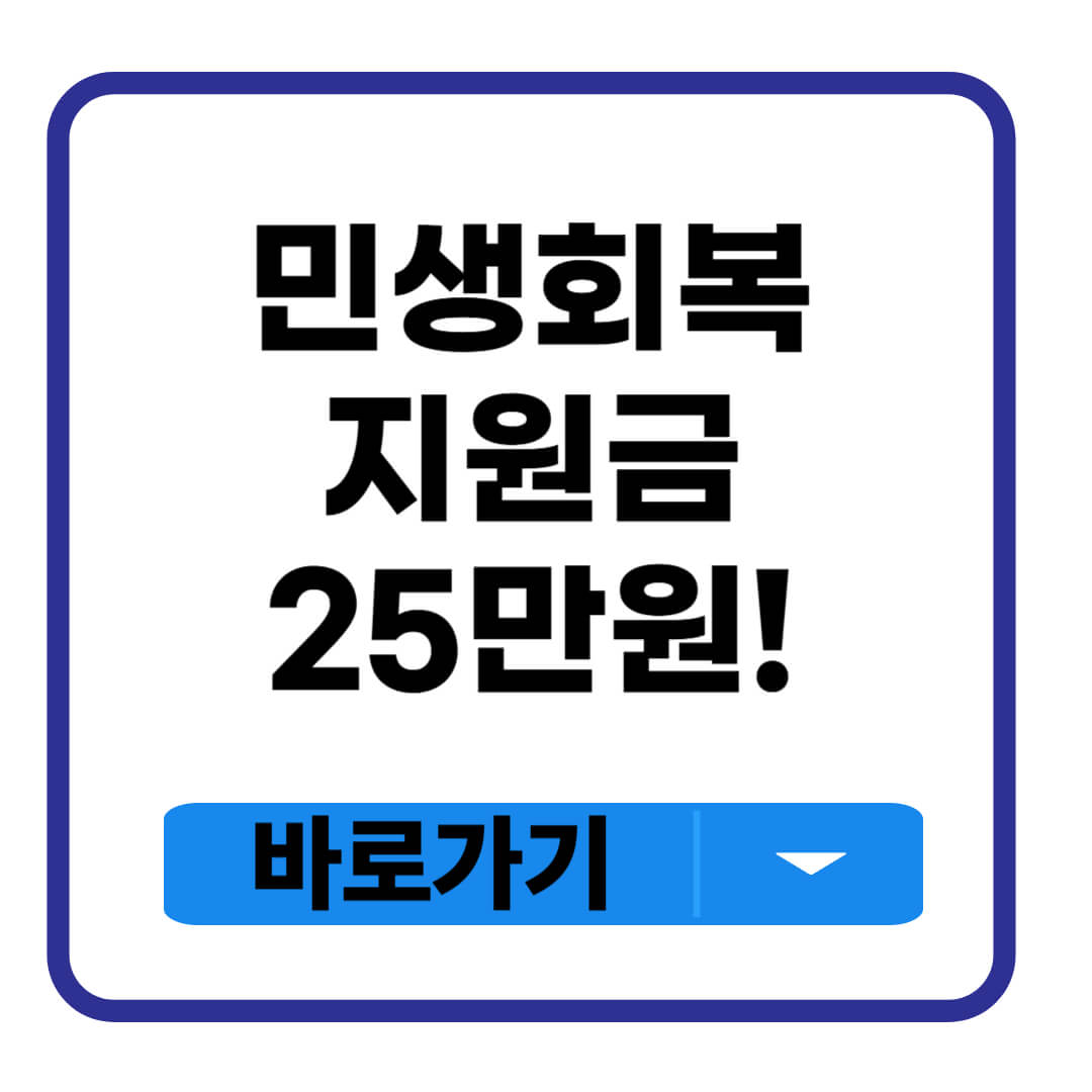 민생회복지원금 25만원