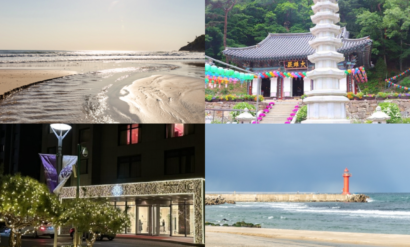 감자연구소 촬영지