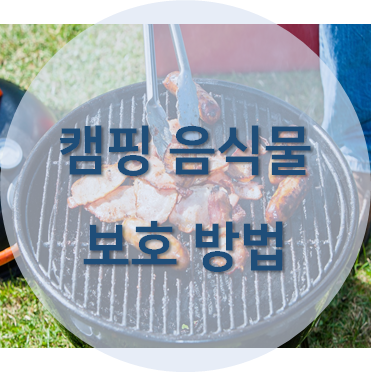 캠핑할 때 야생동물로부터 음식물을 보호할 수 있는 PCT Method 포스팅 섬네일