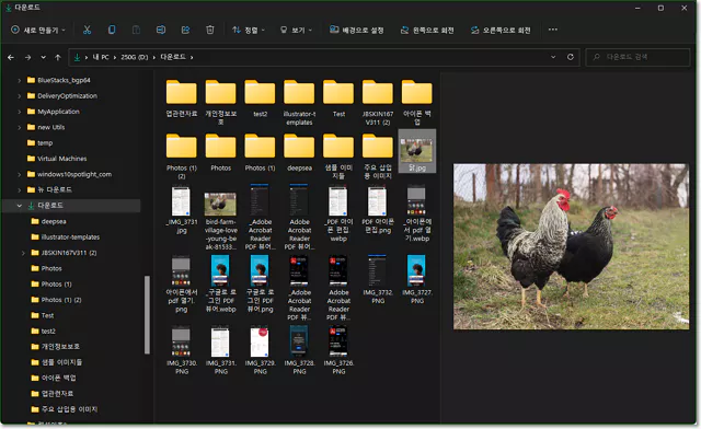 파일 탐색기 미리보기 활성화