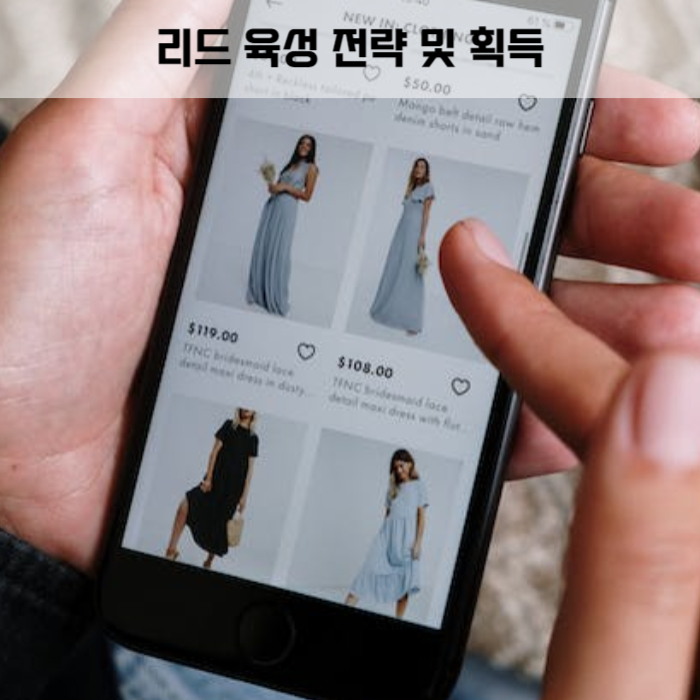 제목_리드 육성 전략 및 획득 방법