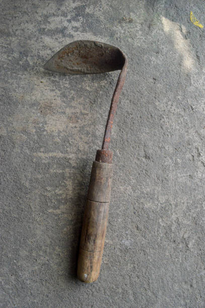 땅을 읽는 손길: 호미의 다재다능한 쓰임