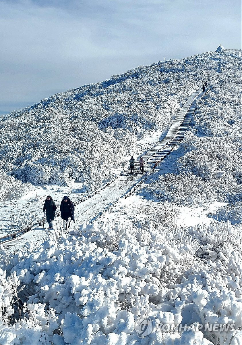 노고단_설경_트래킹_눈꽃