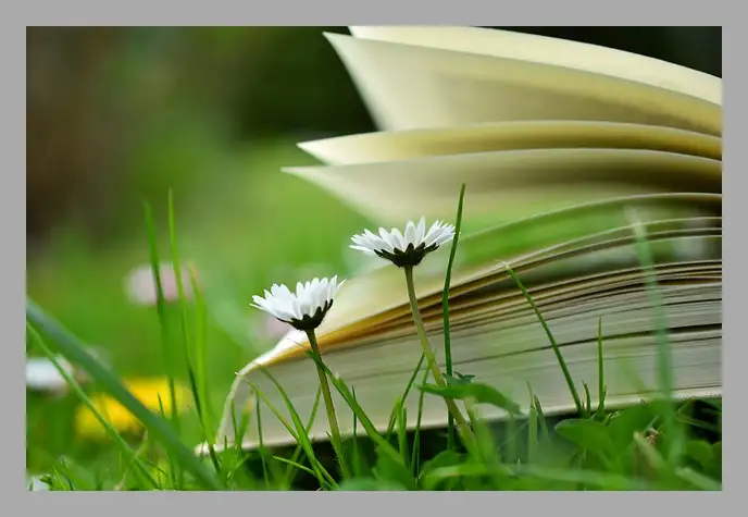 한강 채식주의자