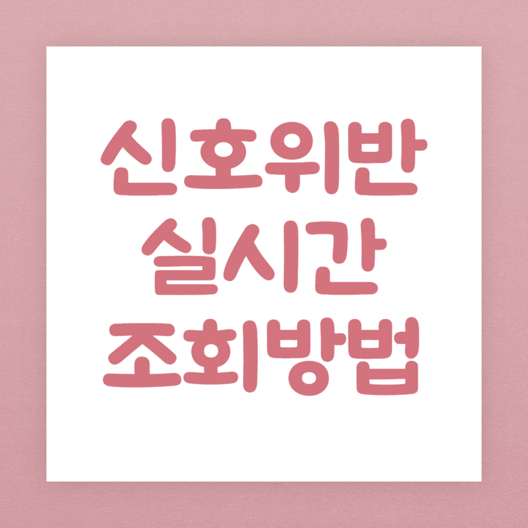 신호위반 단속 실시간 조회방법