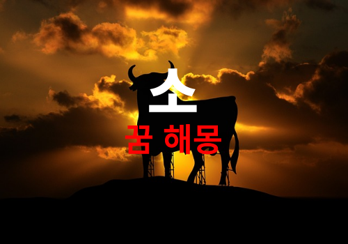 소가 꿈에 나오면 태몽 입니다. (소꿈 해몽 풀이, 소꿈태몽, 소꿈로또당첨, 소꿈재물꿈)