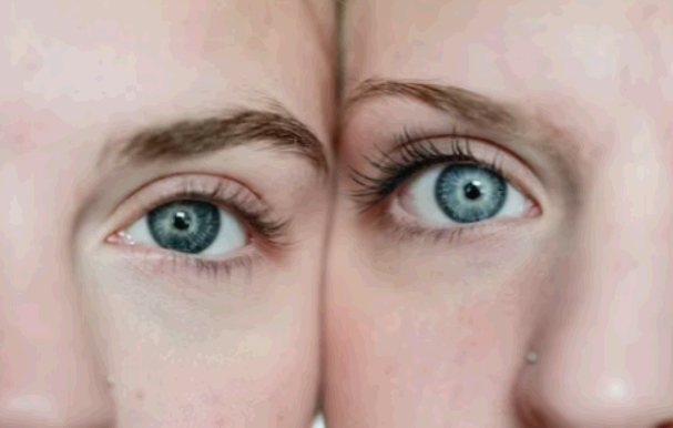 눈영양제 루테인