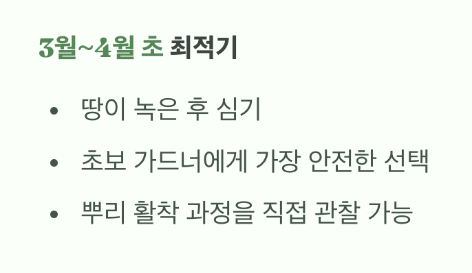 이른 봄 심기: 가장 안전하고 확실한 선택