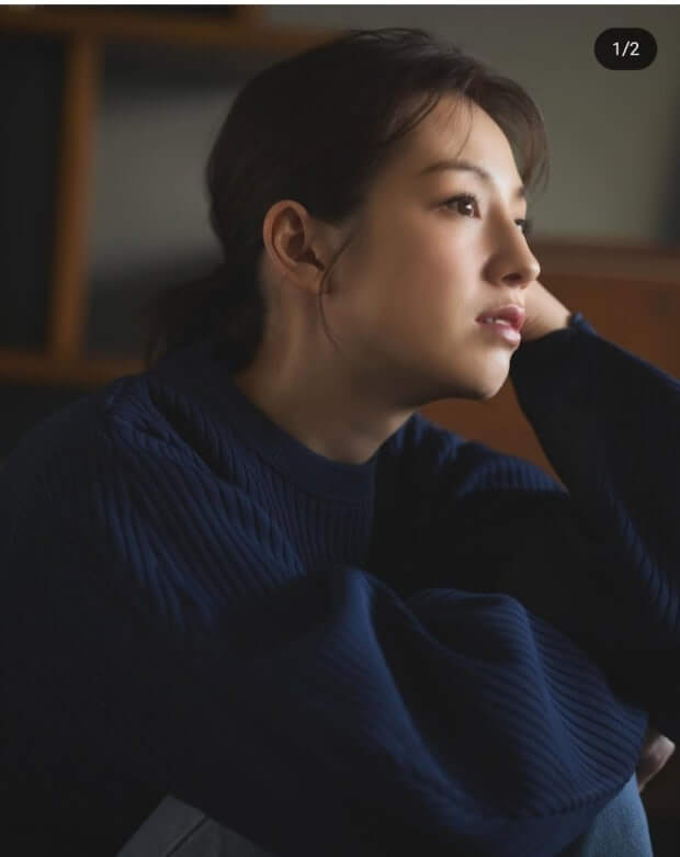 협상의 기술 등장인물, 드라마, 일본배우