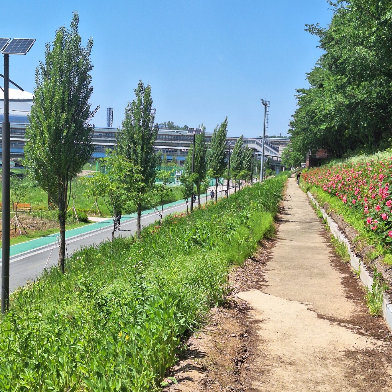 서울 둘레길 13코스 참여 후기