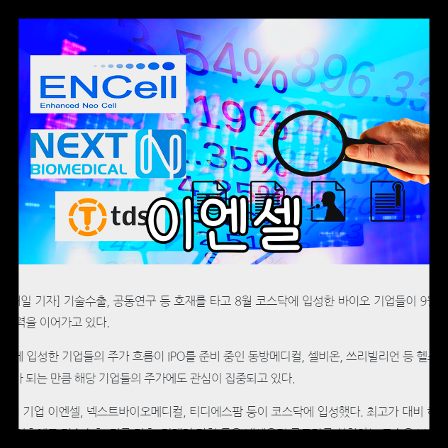 이엔셀 보호예수