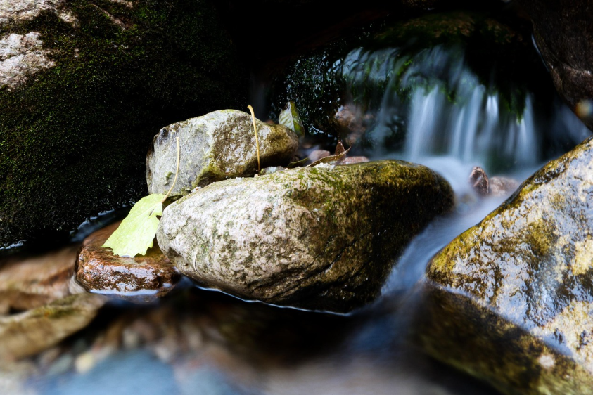구미 금오산 여행, 케이블카와 단풍길 산책 관련 사진