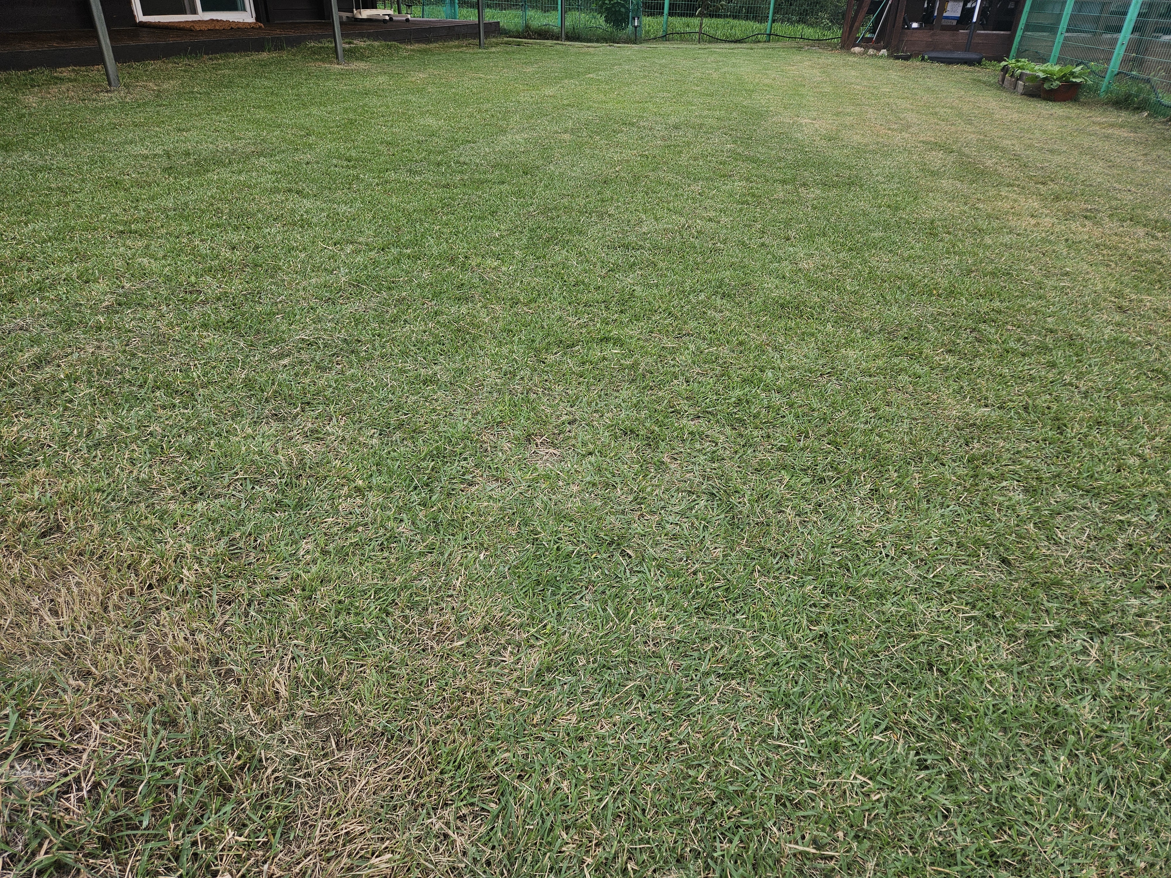 BOSCH ARM37 전기 수동 잔디깎이 사용후기 &ndash; 장단점과 관리 체크리스트 관련 사진