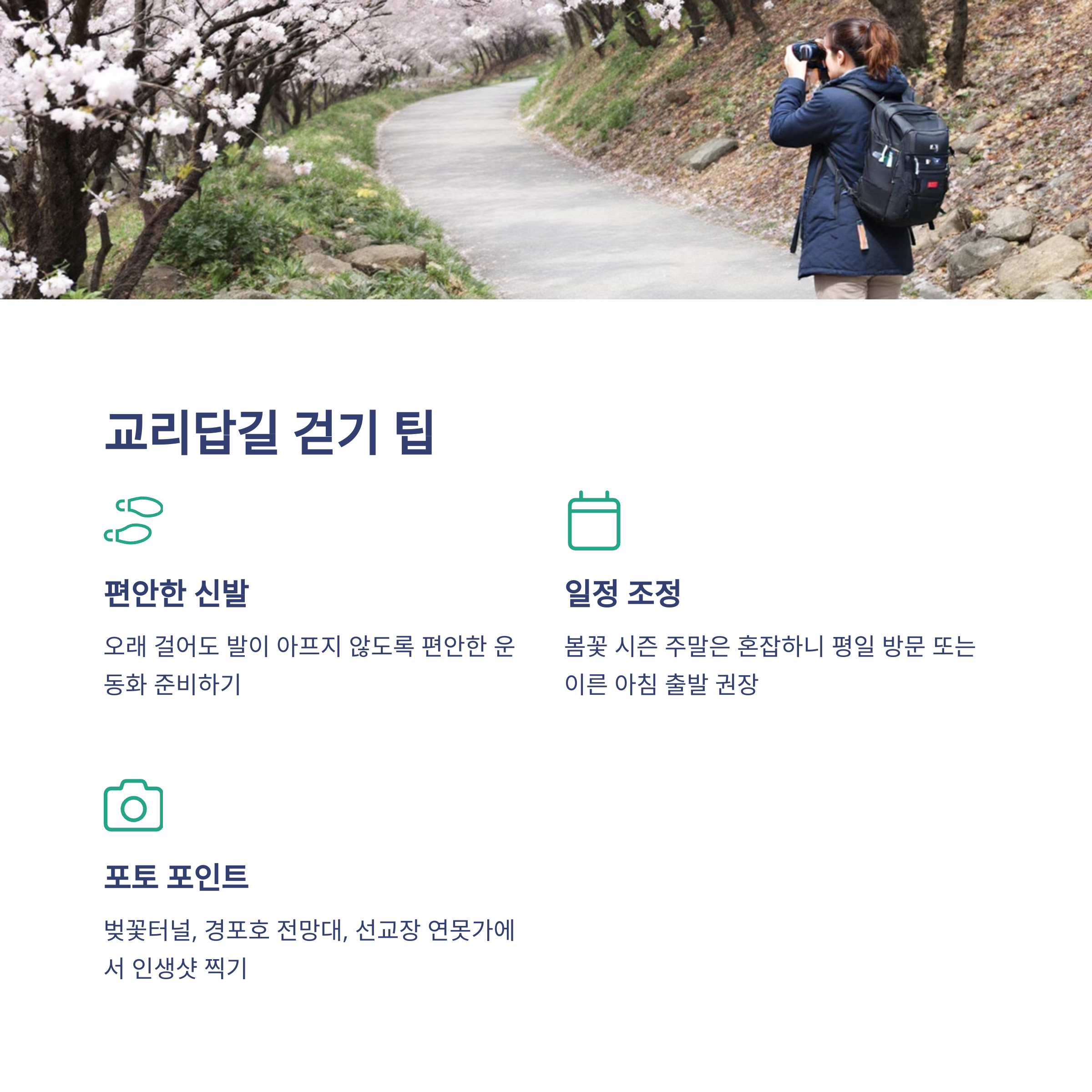 강릉 교리답길