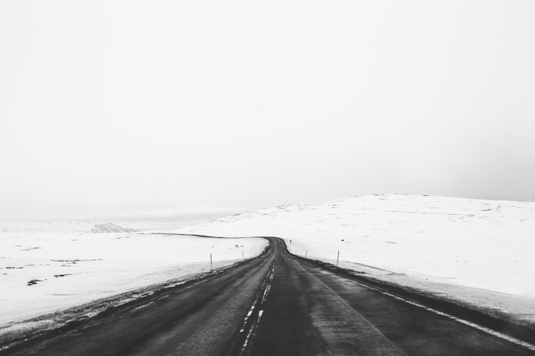International Driving Permit (IDP)