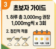 비타민 c 메가도스
