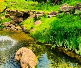 화담숲 예약 방법부터 운영시간까지! 방문 전 꼭 알아야 할 정보