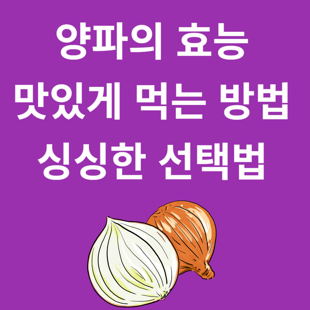 양파의 효능과 맛있게 먹는 법, 완벽한 선택법