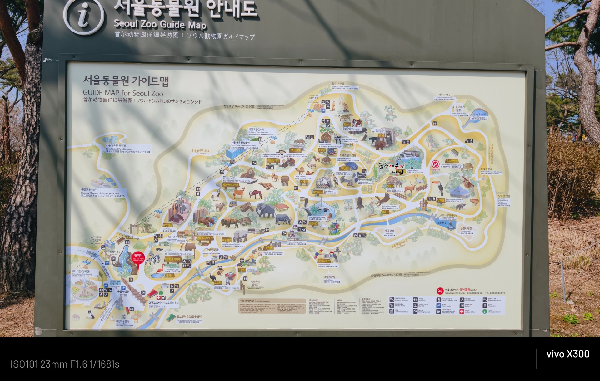 아이와 함께 방문한 과천 서울대공원 동물원 입구 풍경
