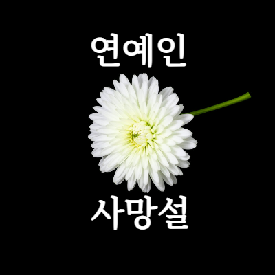 연예인 죽음과 관련한 기사를 확인하다