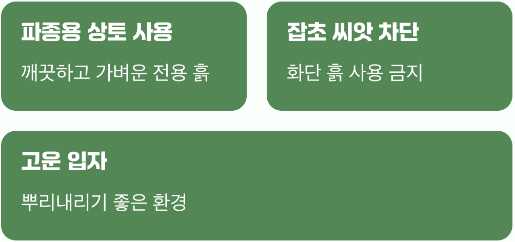 씨앗을 위한 최고의 침대, 흙 준비하기