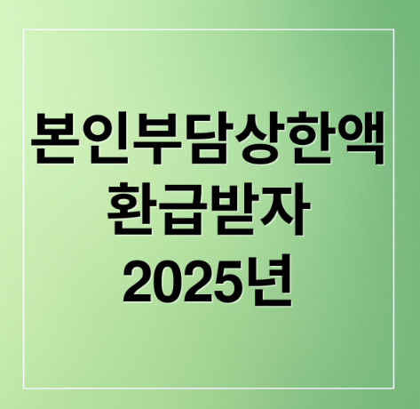 본인부담상한액 환급받기