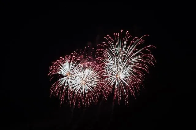 2025 9월 동행축제 개막!