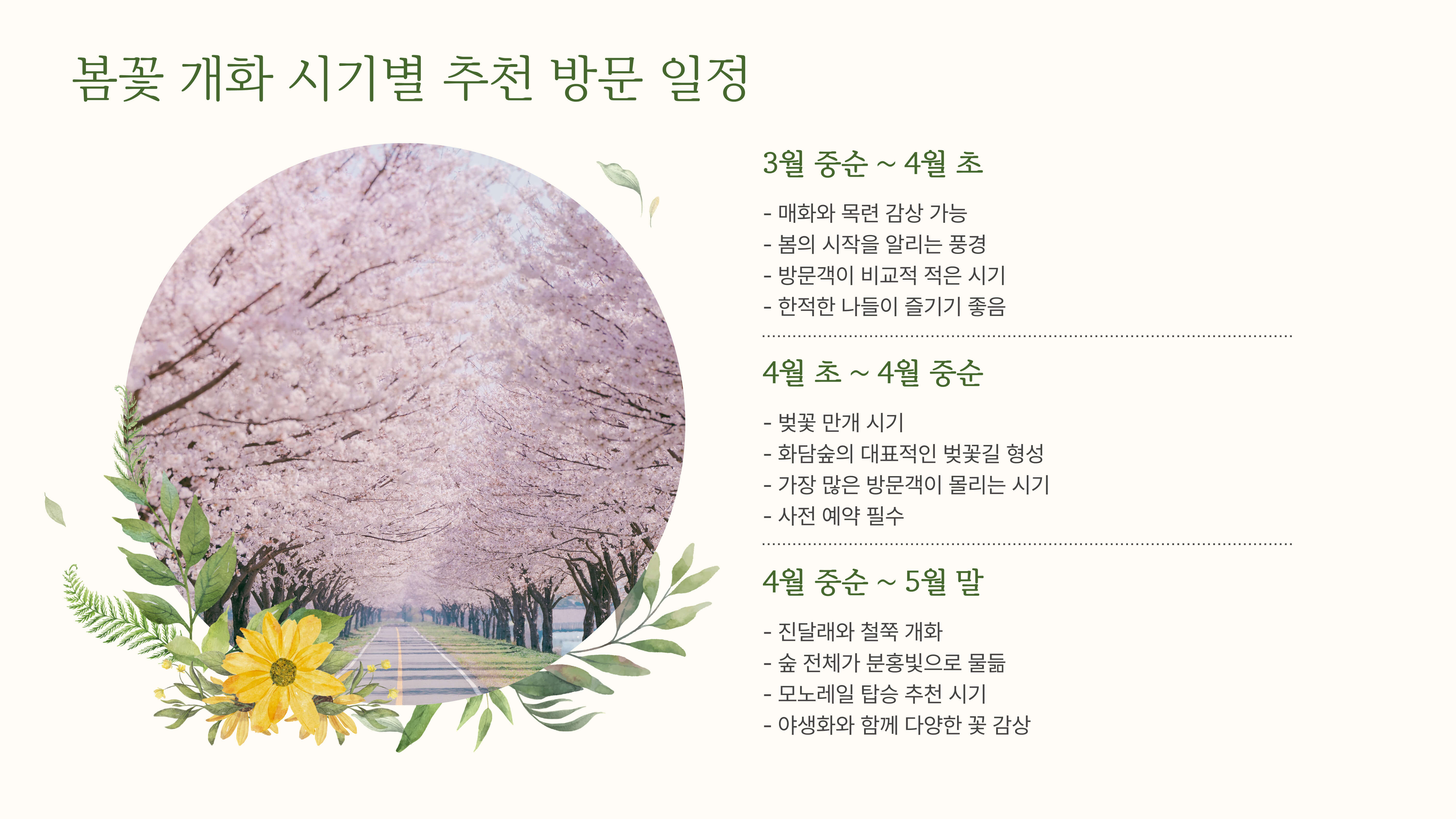 화담숲 봄꽃 개화 시기, 방문 일정 꿀팁