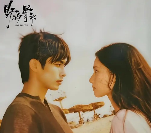 중드 다시보기 야구골두 몇부작, 줄거리, 결말, 등장인물