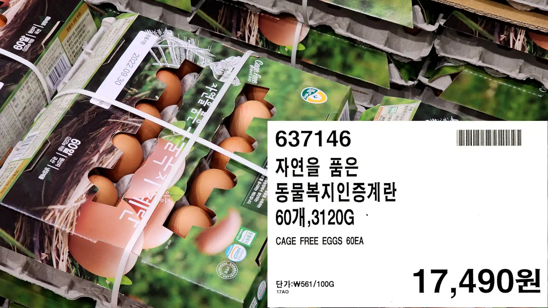 자연을 품은
동물복지인증계란
60개,3120G
CAGE FREE EGGS 60EA
17,490원