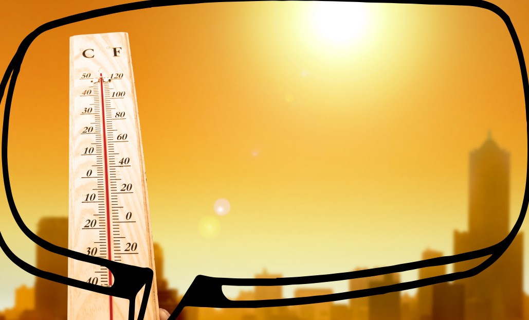 더위 먹었을 때 증상