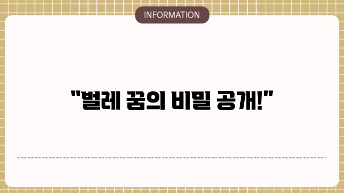 구더기나오는꿈벌잡는꿈 벌꿈 벌레많이나오는꿈 거미물리는꿈 해몽