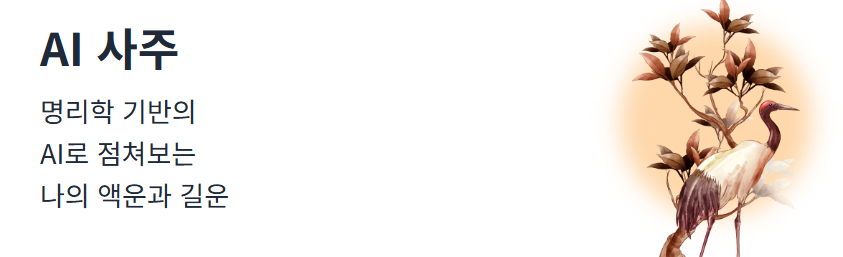 무료 신년운세 추천