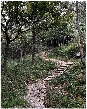 양을산