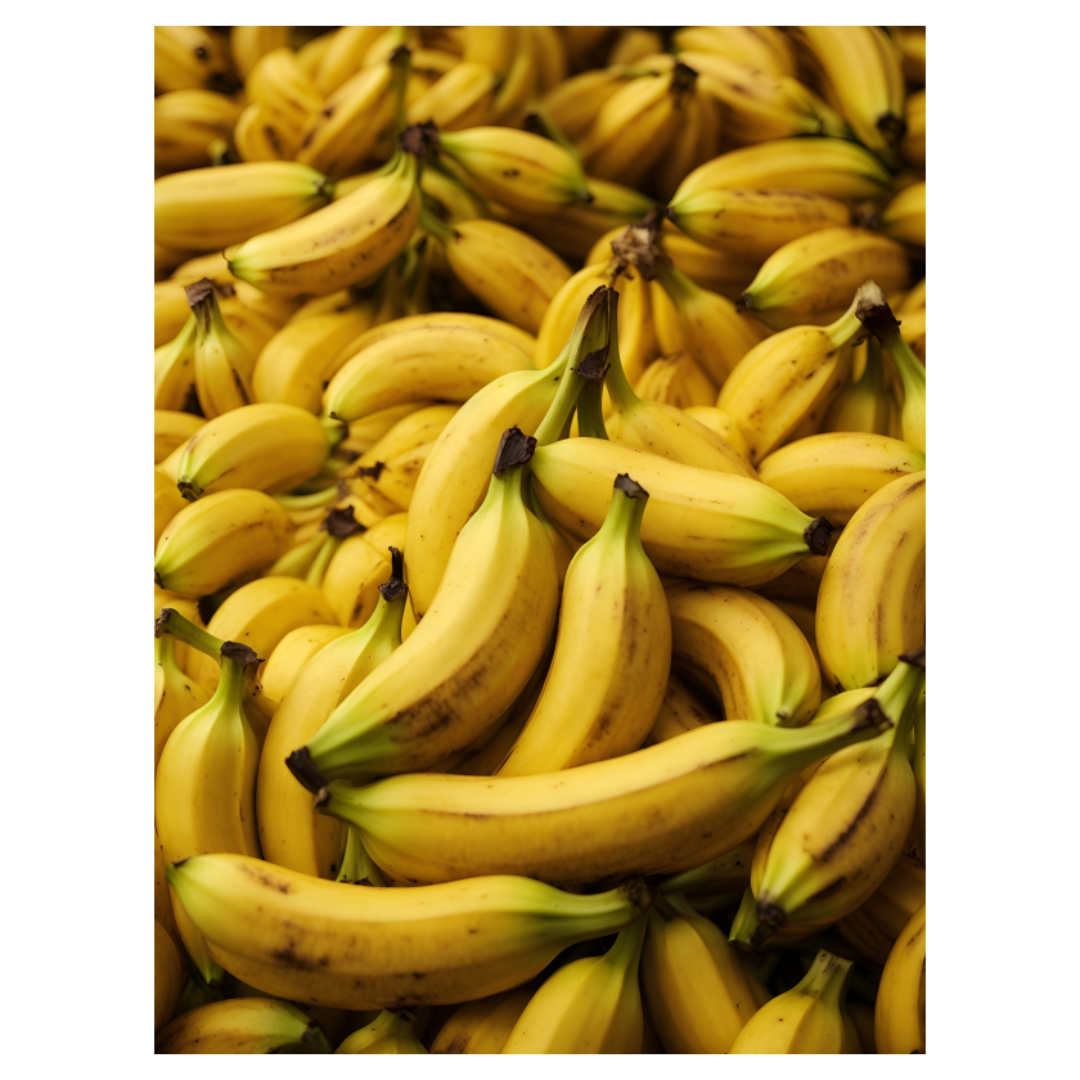 마그네슘과 관련된 사진입니다.