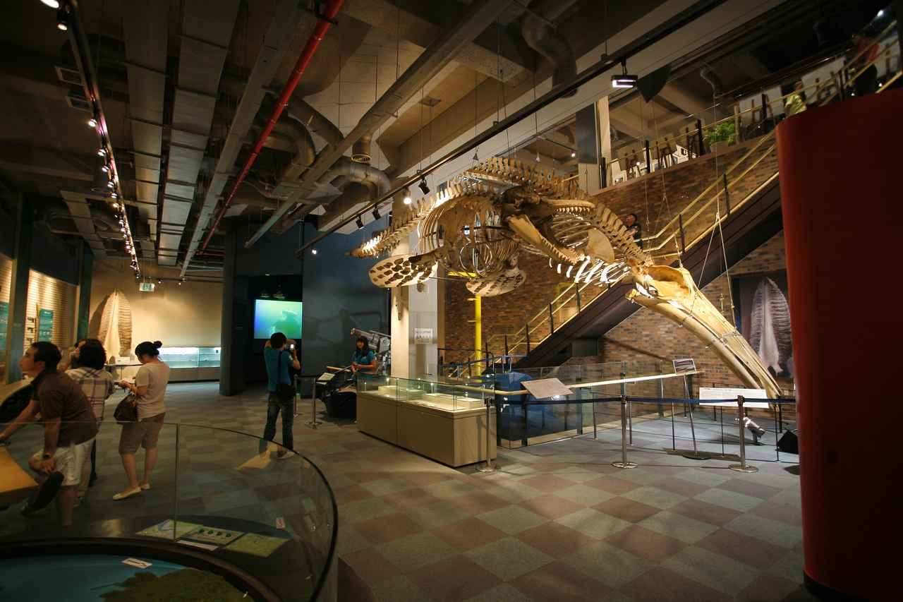 장생포 고래박물관