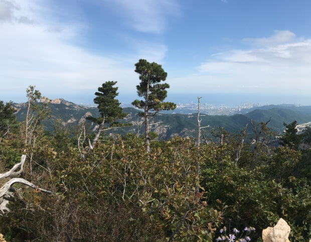 속초 가볼만한곳 베스트 10