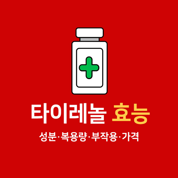 타이레놀 효능 총정리