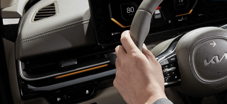 카니발 하이브리드