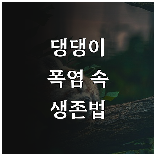 폭염 속 멍멍이 지키는 꿀팁: 안전 ..