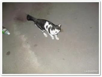 같습니다 갔습니다 차이 자료집_3