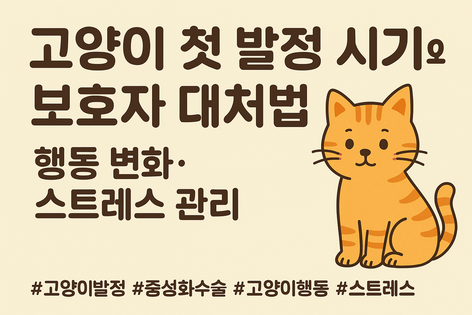 고양이 첫 발정 시기 총정리(1)