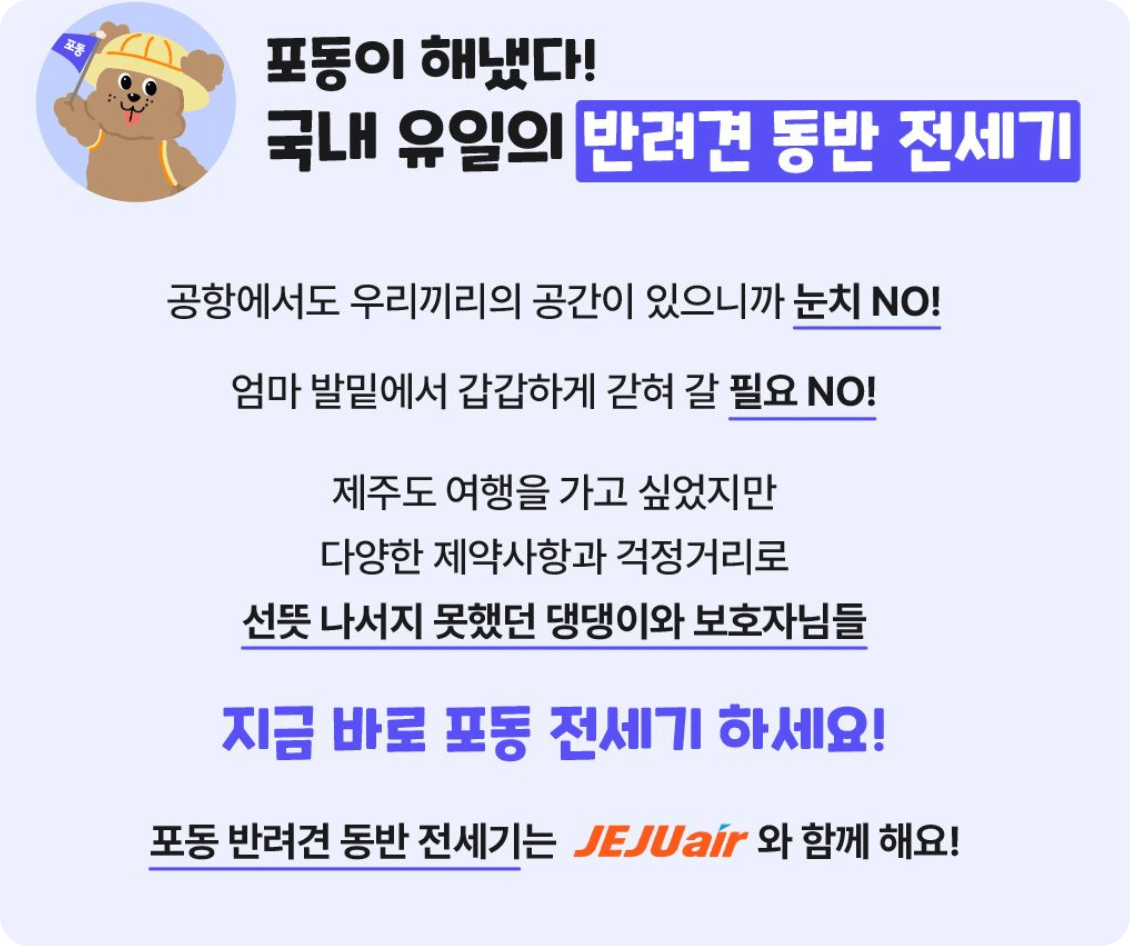 제주도 애견동반 반려견 전세기 예약방법 금액