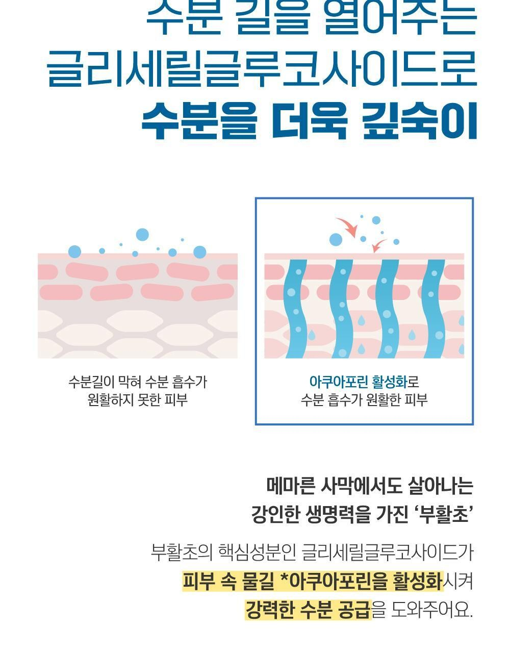 라운드랩 자작나무 수분 수딩젤