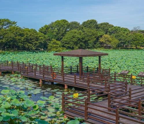 경남 여행지 추천 ❘ 진주 가볼만한 곳 베스트 10. 강주연못