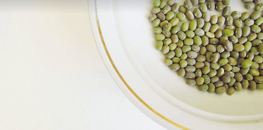 녹두와 녹두로 만든 음식 사진 - 782