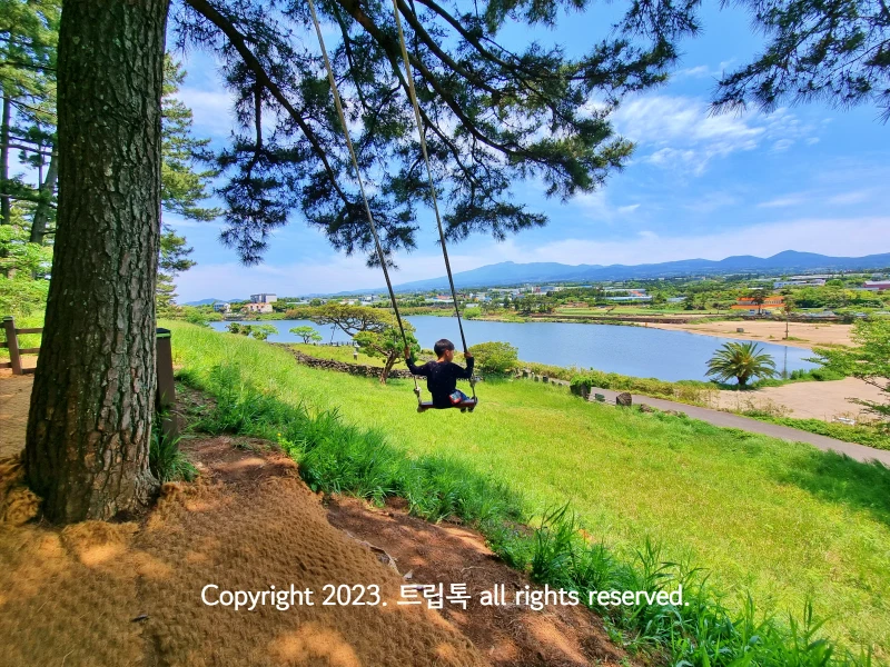 왼쪽 소나무에 달린 그네를 타는 아이가 마치 허공에 떠있는것 같다.