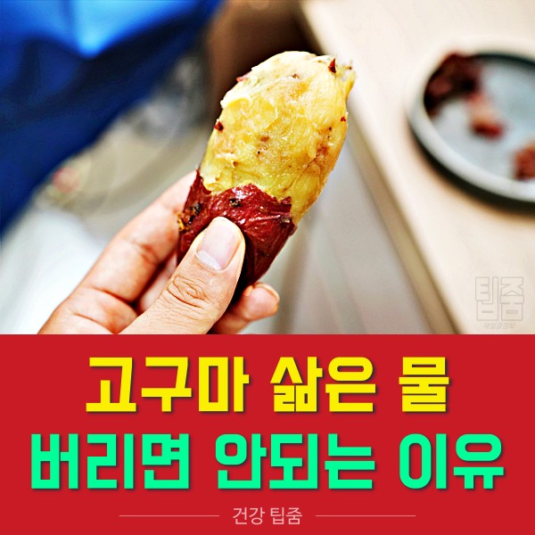 고구마 삶은 물 효능, 고구마 다이어트 방법 효과, 건강 팁줌 매일꿀정보